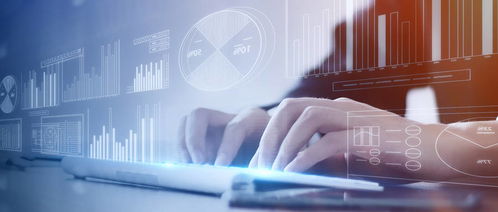 以客户需求为导向 ERP精细化管理中的技术咨询新范式